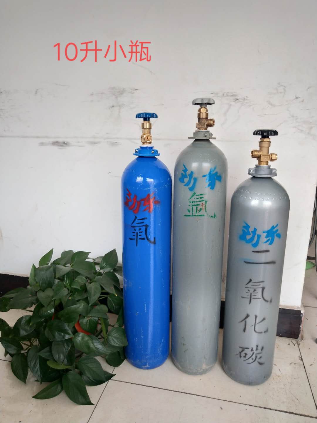 寧夏氧氣,寧夏氮氣,寧夏干冰,寧夏二氧化碳,寧夏氫氣，寧夏氦氣，寧夏氬氣，寧夏丙烷，寧夏乙炔，寧夏混合氣，寧夏高純空氣，寧夏液化石油氣，銀川氧氣,銀川氮氣,銀川干冰,銀川二氧化碳,銀川氫氣，銀川氦氣，銀川氬氣，銀川丙烷，銀川乙炔，銀川混合氣，銀川高純空氣，銀川液化石油氣